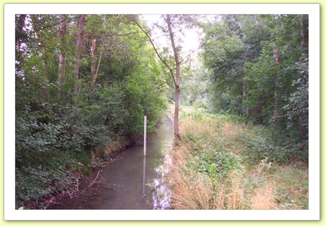 La grande noue de Neuvry  à Neuvry